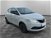 Lancia Ypsilon 1.2 69 CV 5 porte Platinum  del 2020 usata a Pordenone (7)