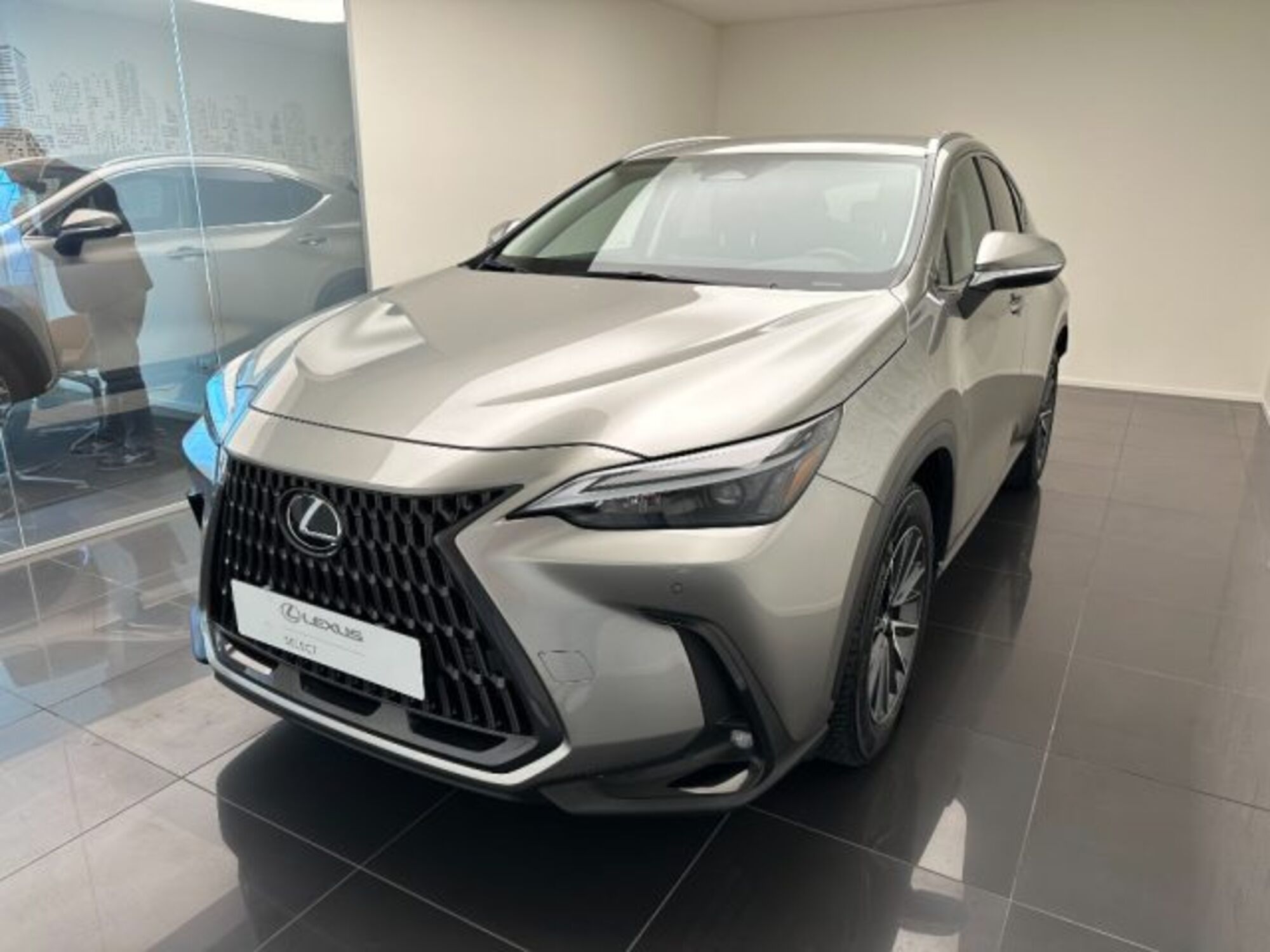 Lexus NX Plug-in 4WD Premium del 2023 usata a Cuneo