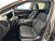 Lexus NX Plug-in 4WD Premium del 2023 usata a Cuneo (6)