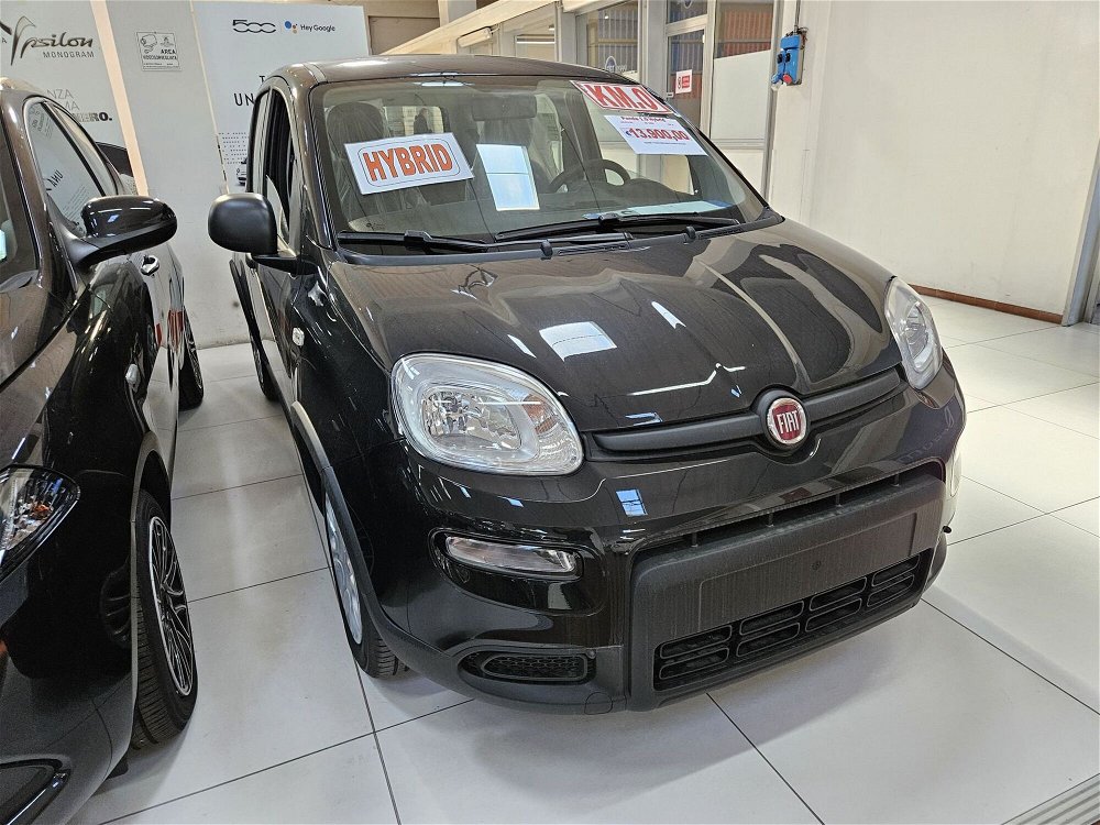 Fiat Panda 1.0 FireFly S&S Hybrid City Cross  nuova a Altopascio (3)
