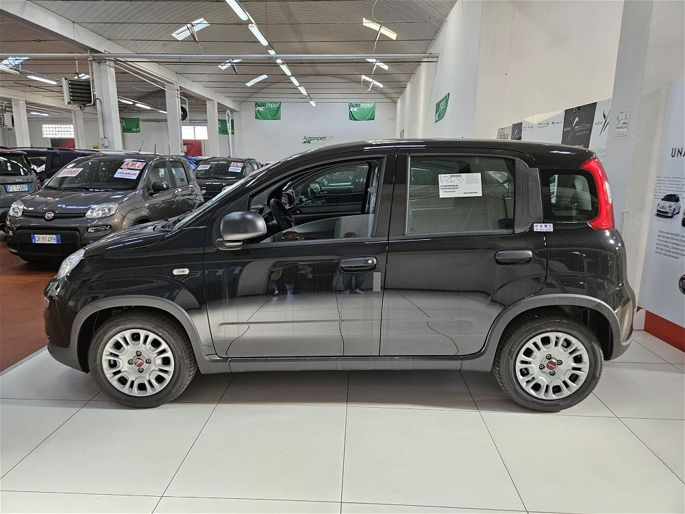 Fiat Panda 1.0 FireFly S&S Hybrid City Cross  nuova a Altopascio (4)