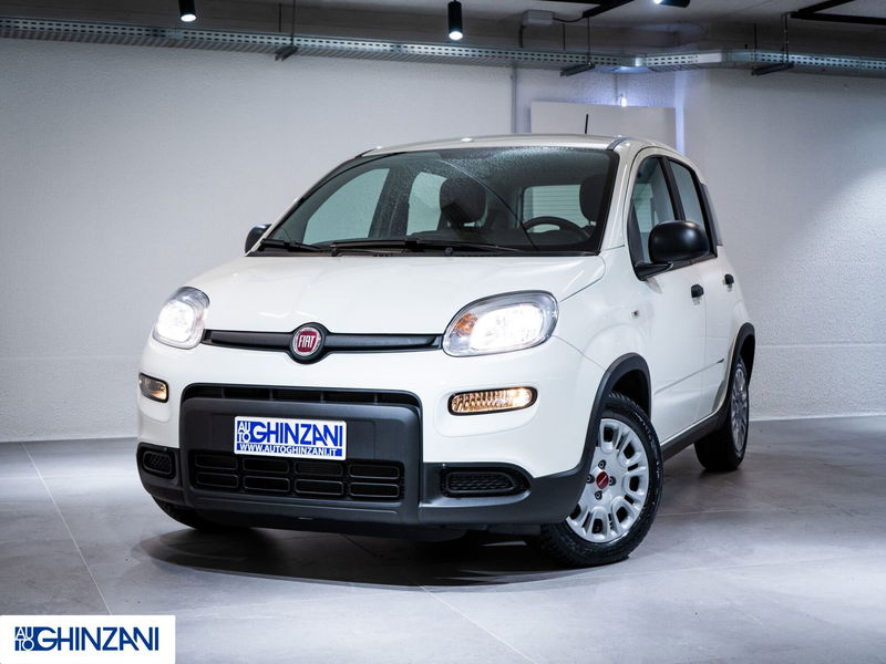 Fiat Panda Cross Cross 1.0 FireFly S&amp;S Hybrid  nuova a San Paolo d&#039;Argon