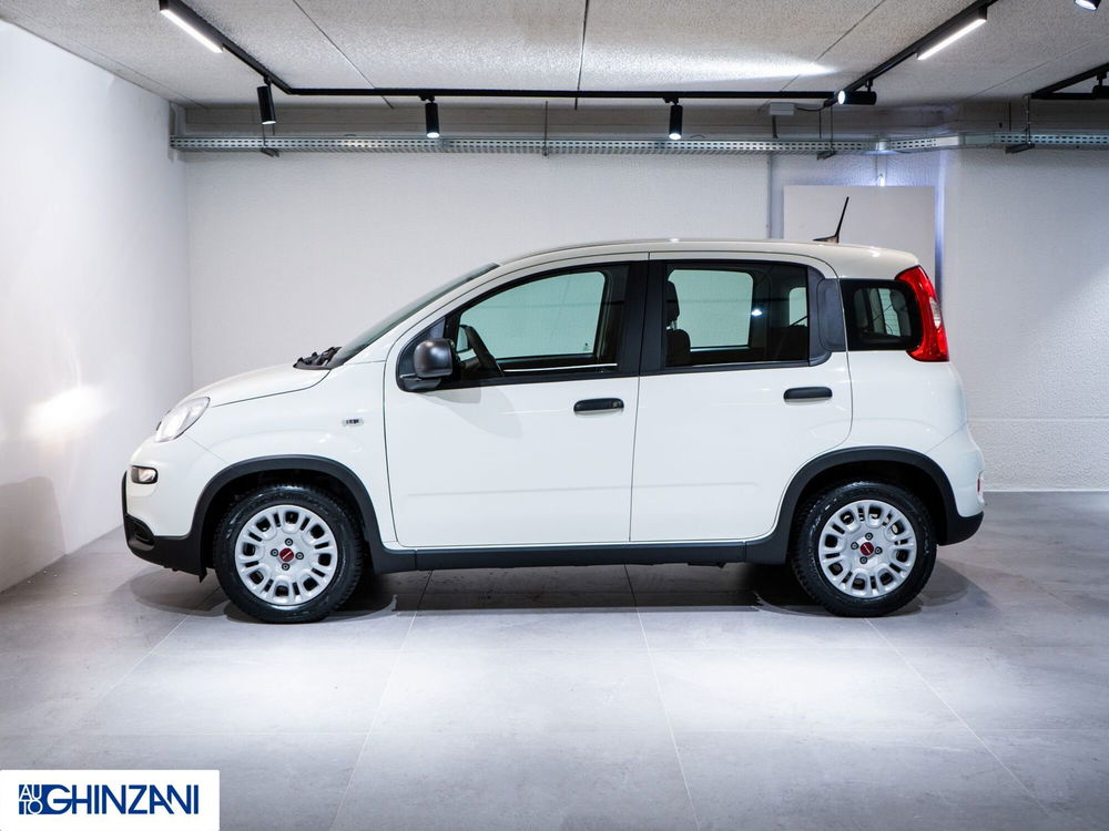 Fiat Panda Cross Cross 1.0 FireFly S&S Hybrid  nuova a Calusco d'Adda (4)