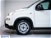 Fiat Panda Cross Cross 1.0 FireFly S&S Hybrid  nuova a Calusco d'Adda (8)