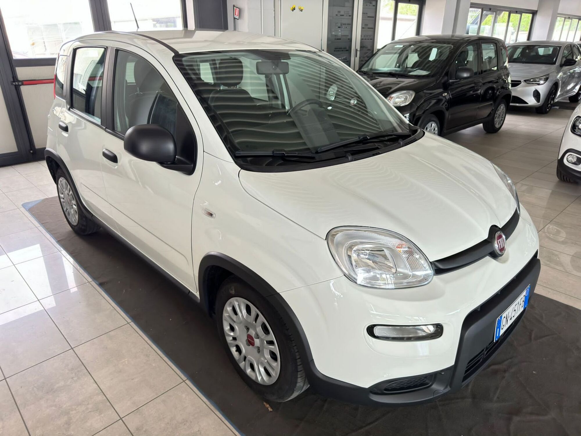 Fiat Panda 1.0 FireFly S&amp;S Hybrid City Cross  del 2023 usata a Ferrara