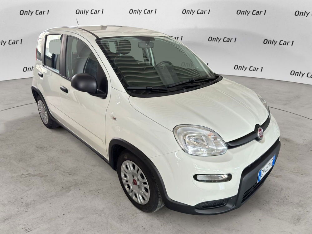 Fiat Panda Cross usata a Ferrara