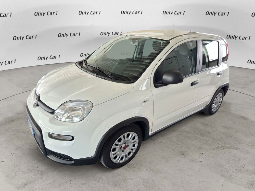 Fiat Panda Cross usata a Ferrara (2)