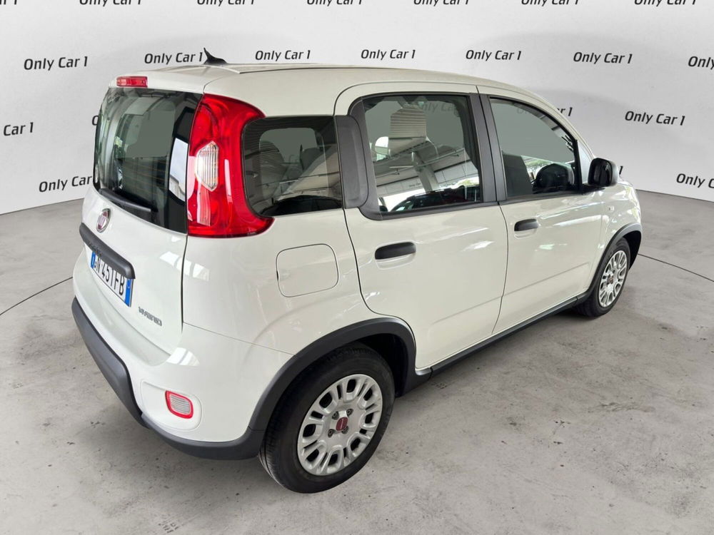 Fiat Panda Cross usata a Ferrara (4)