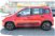 Fiat Panda 1.0 FireFly S&S Hybrid City Cross  del 2022 usata a Cirie' (8)