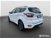Ford Kuga 2.0 TDCI 120 CV S&S 2WD Powershift ST-Line  del 2019 usata a Livorno (13)