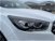 Ford Kuga 2.0 TDCI 120 CV S&S 2WD Powershift ST-Line  del 2019 usata a Livorno (19)
