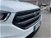 Ford Kuga 2.0 TDCI 120 CV S&S 2WD Powershift ST-Line  del 2019 usata a Livorno (20)