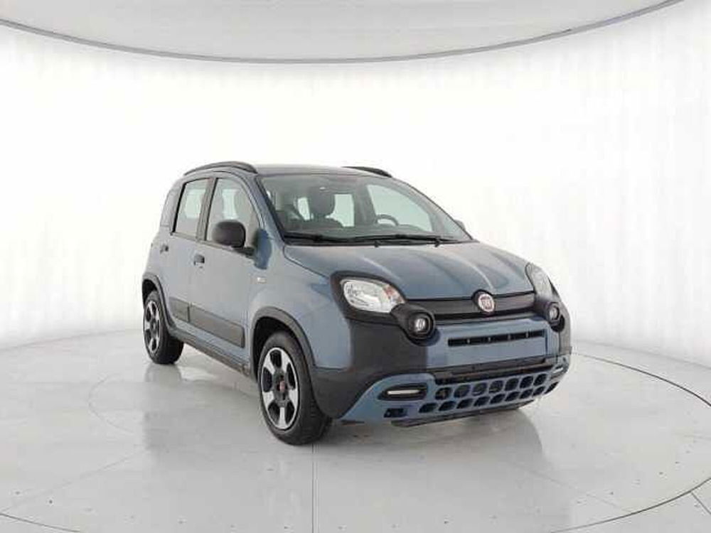 Fiat Panda Cross usata a Torino (2)