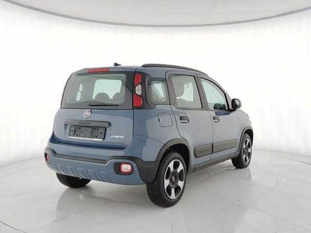 Fiat Panda Cross usata a Torino (4)