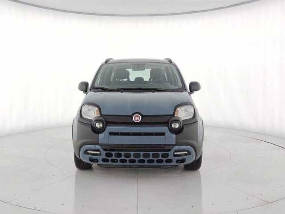 Fiat Panda Cross usata a Torino (5)