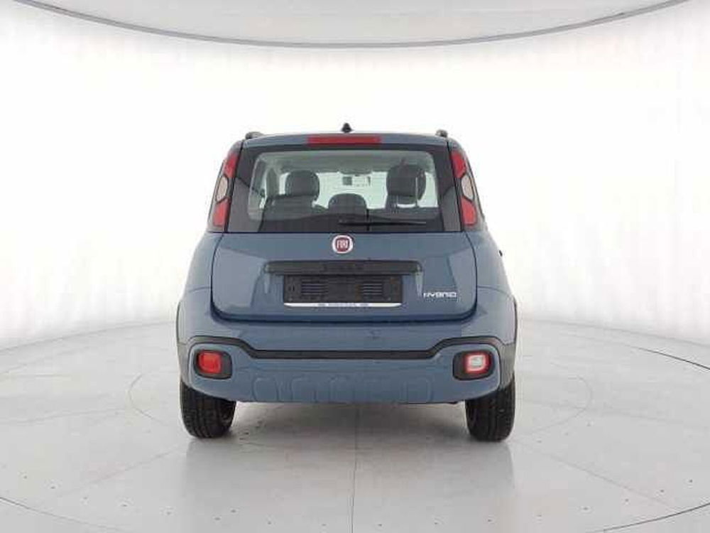 Fiat Panda Cross usata a Torino (6)