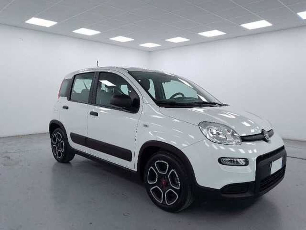 Fiat Panda usata a Cuneo (3)