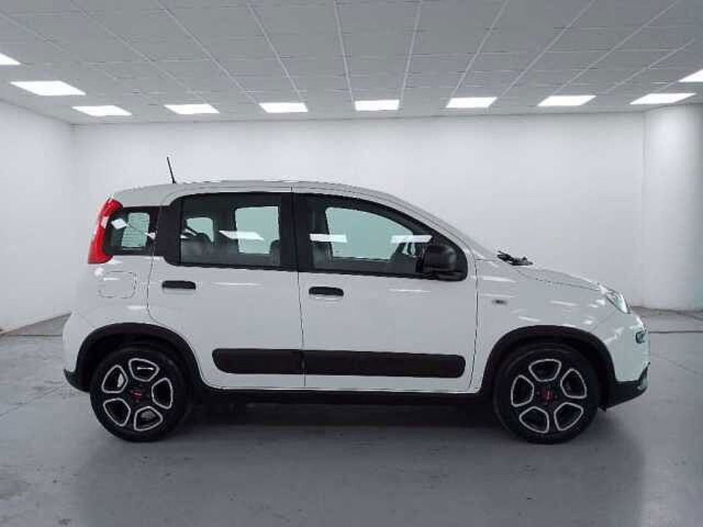 Fiat Panda usata a Cuneo (4)