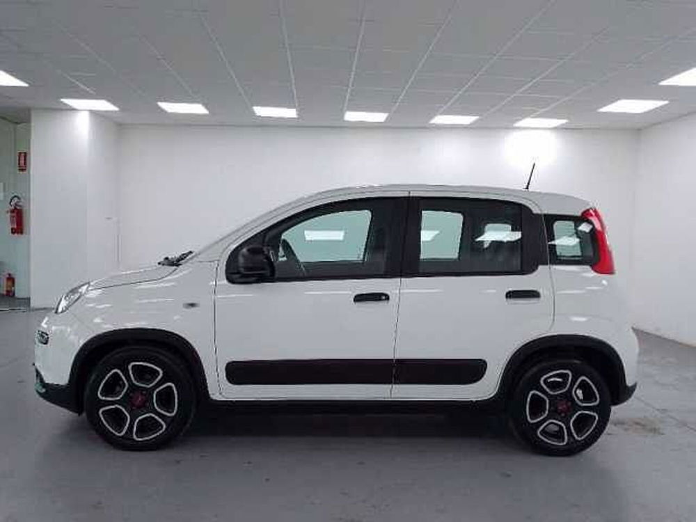 Fiat Panda usata a Cuneo (5)