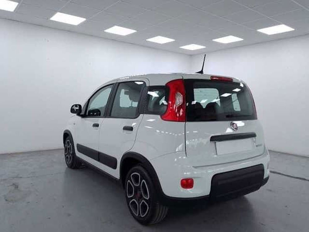 Fiat Panda usata a Cuneo (6)