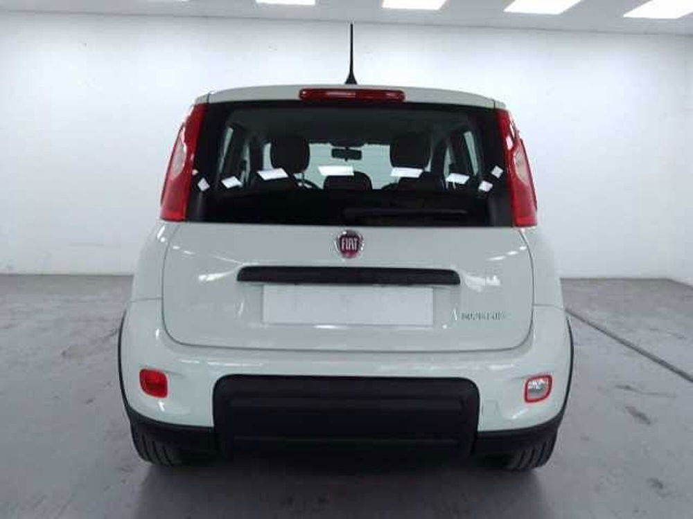 Fiat Panda usata a Cuneo (7)