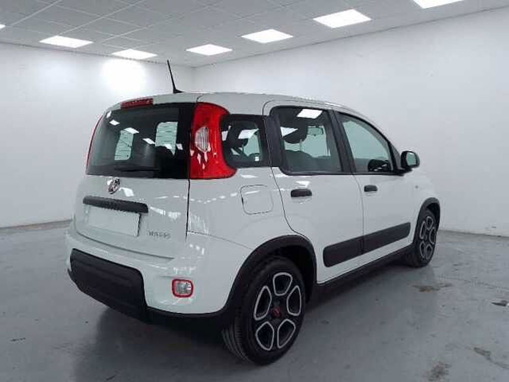 Fiat Panda usata a Cuneo (8)