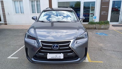 Lexus NX Hybrid Executive del 2016 usata a Veggiano