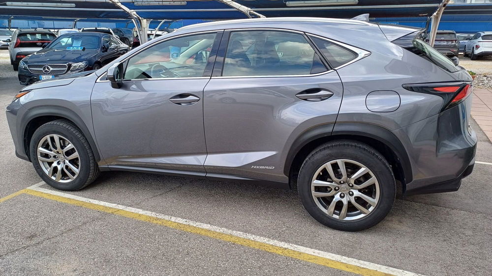 Lexus NX usata a Padova (3)