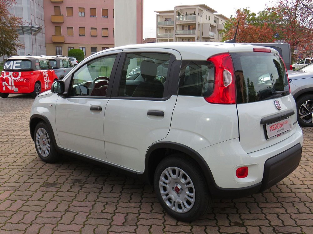 Fiat Panda Cross Cross 1.0 FireFly S&S Hybrid  nuova a Seregno (4)