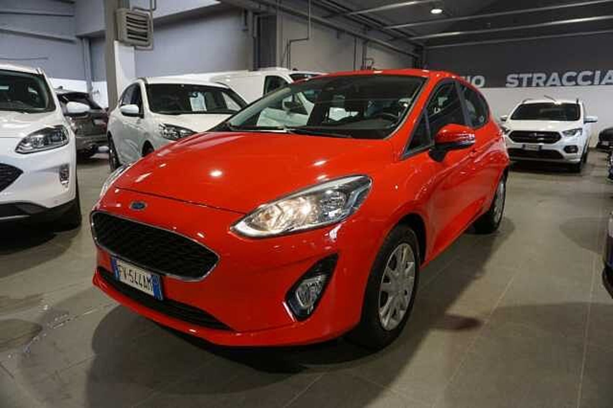 Ford Fiesta 1.1 85 CV 5 porte Plus  del 2019 usata a Bologna