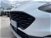 Ford Focus Station Wagon 1.0 EcoBoost 125 CV SW Active  del 2020 usata a Livorno (20)