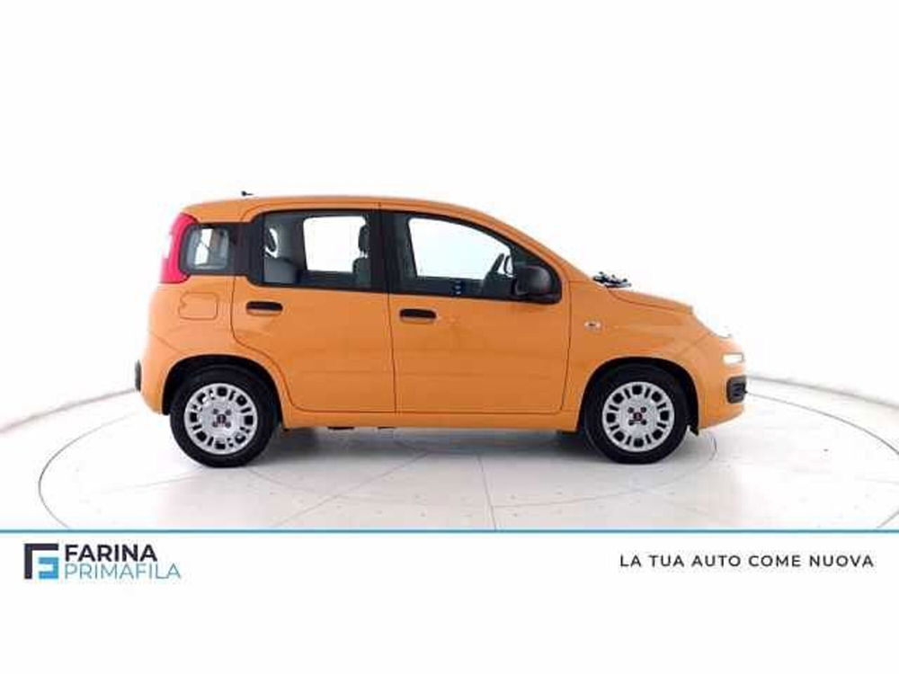 Fiat Panda 1.0 firefly hybrid s&s 70cv 5p.ti del 2021 usata a Pozzuoli (3)