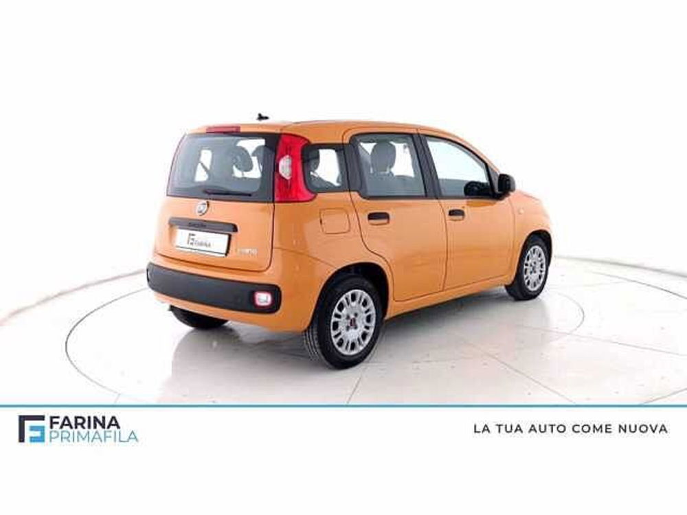 Fiat Panda 1.0 firefly hybrid s&s 70cv 5p.ti del 2021 usata a Pozzuoli (4)