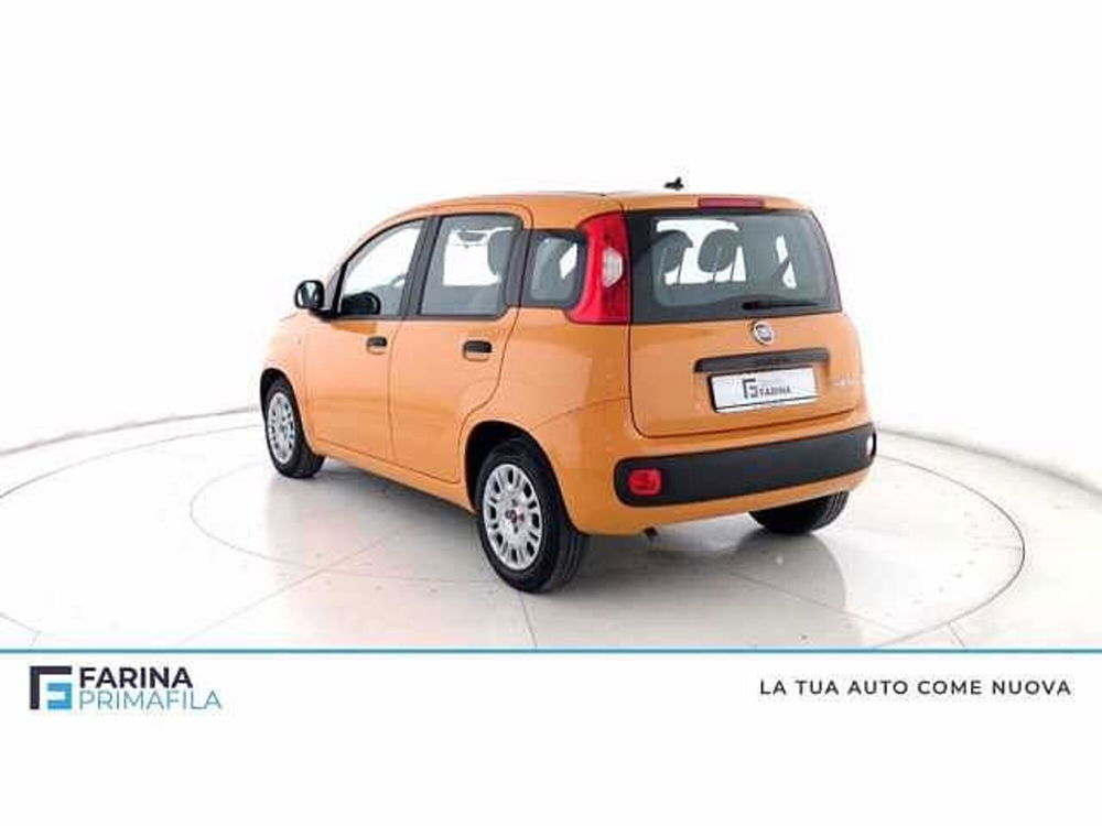 Fiat Panda 1.0 firefly hybrid s&s 70cv 5p.ti del 2021 usata a Pozzuoli (5)