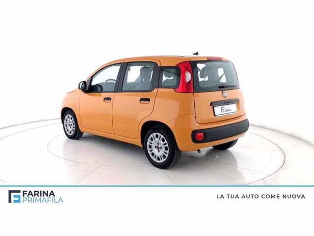 Fiat Panda 1.0 firefly hybrid s&s 70cv 5p.ti del 2021 usata a Pozzuoli (5)