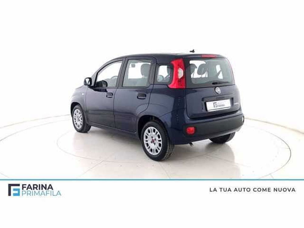 Fiat Panda 1.0 firefly hybrid s&s 70cv 5p.ti del 2021 usata a Pozzuoli (5)