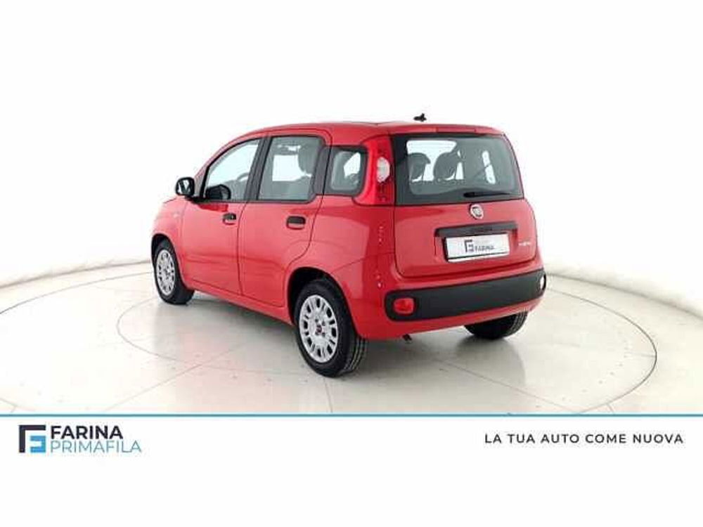 Fiat Panda usata a Napoli (5)