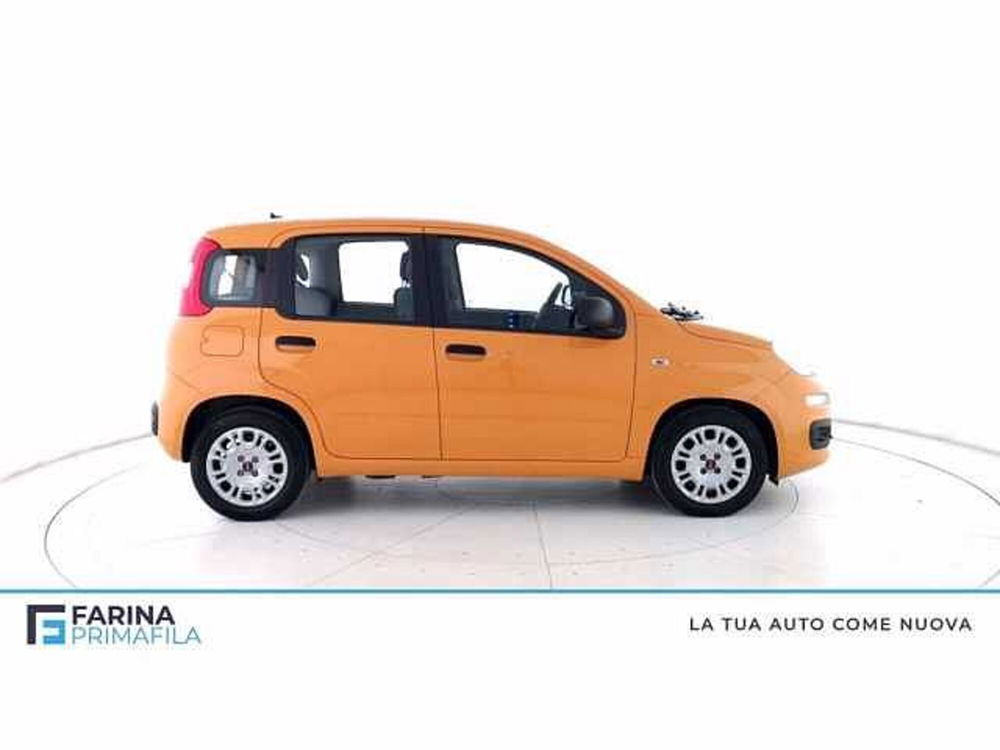 Fiat Panda 1.0 firefly hybrid s&s 70cv 5p.ti del 2021 usata a Pozzuoli (3)