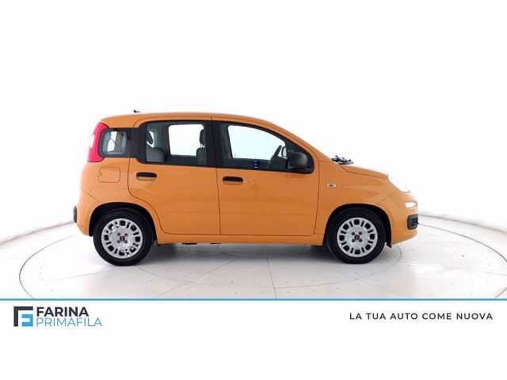 Fiat Panda usata a Napoli (3)