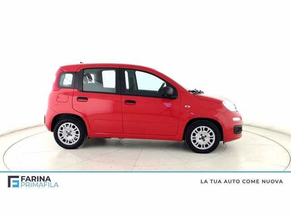 Fiat Panda 1.0 firefly hybrid s&s 70cv 5p.ti del 2021 usata a Pozzuoli (3)