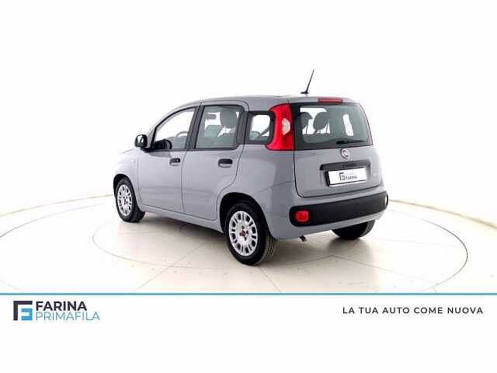 Fiat Panda usata a Napoli (5)