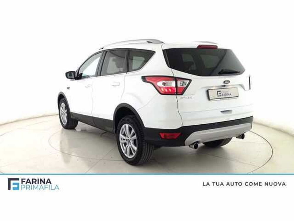 Ford Kuga 1.5 TDCI 120 CV S&S 2WD Powershift Titanium Business del 2019 usata a Pozzuoli (5)