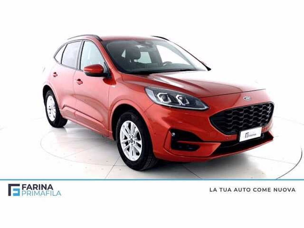 Ford Kuga 1.5 EcoBlue 120 CV 2WD ST-Line X  del 2020 usata a Pozzuoli (2)