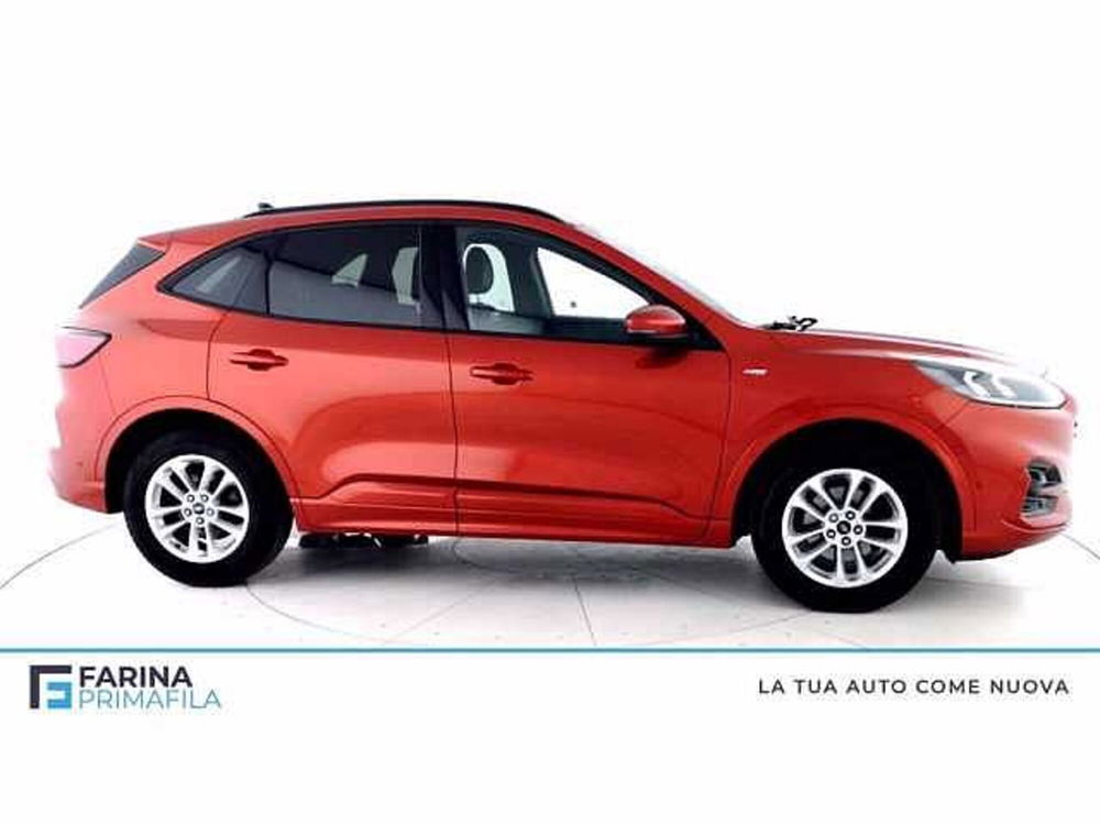 Ford Kuga 1.5 EcoBlue 120 CV 2WD ST-Line X  del 2020 usata a Pozzuoli (3)