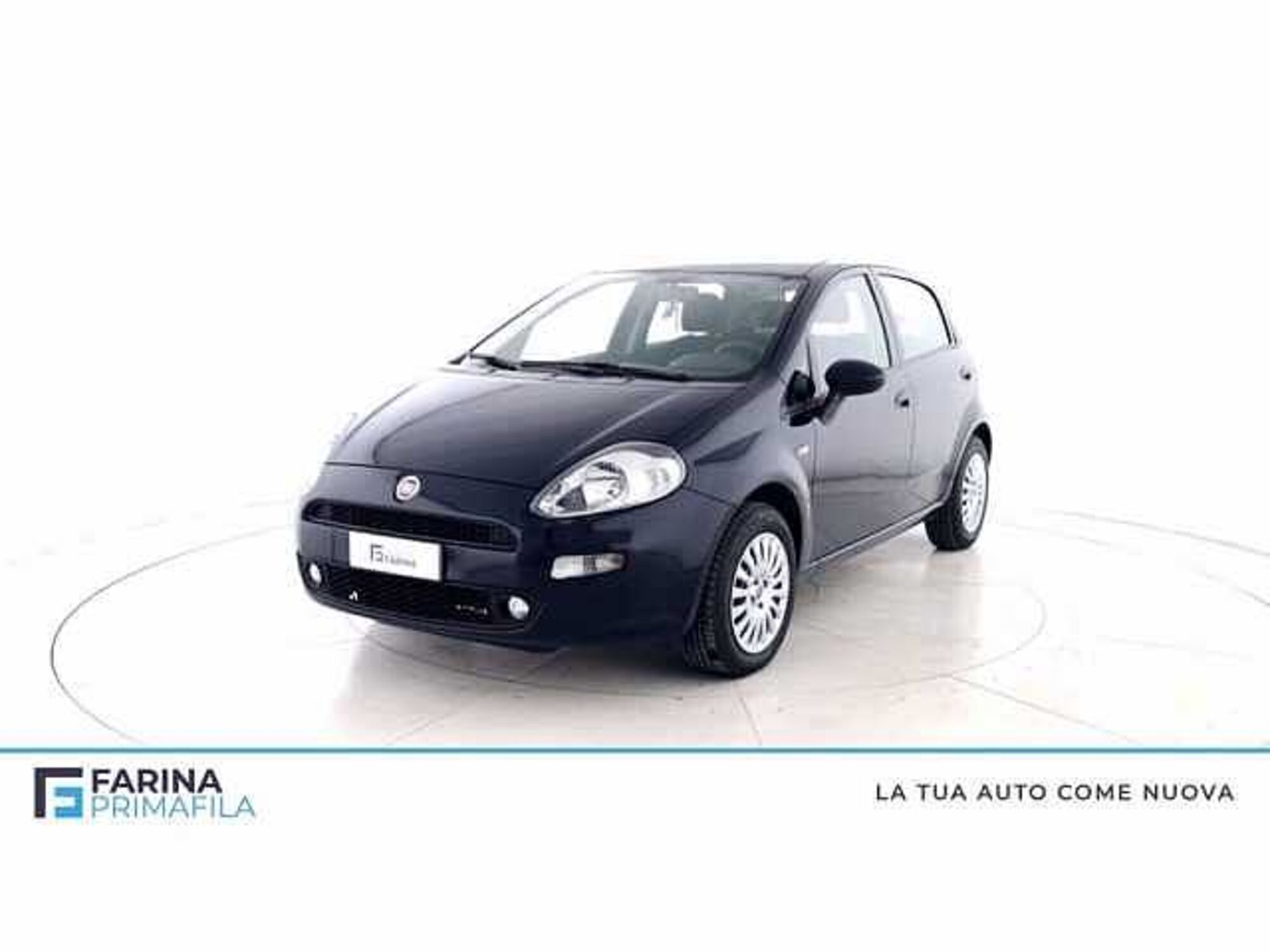 Fiat Punto 1.2 8V 5 porte Street  del 2017 usata a Pozzuoli