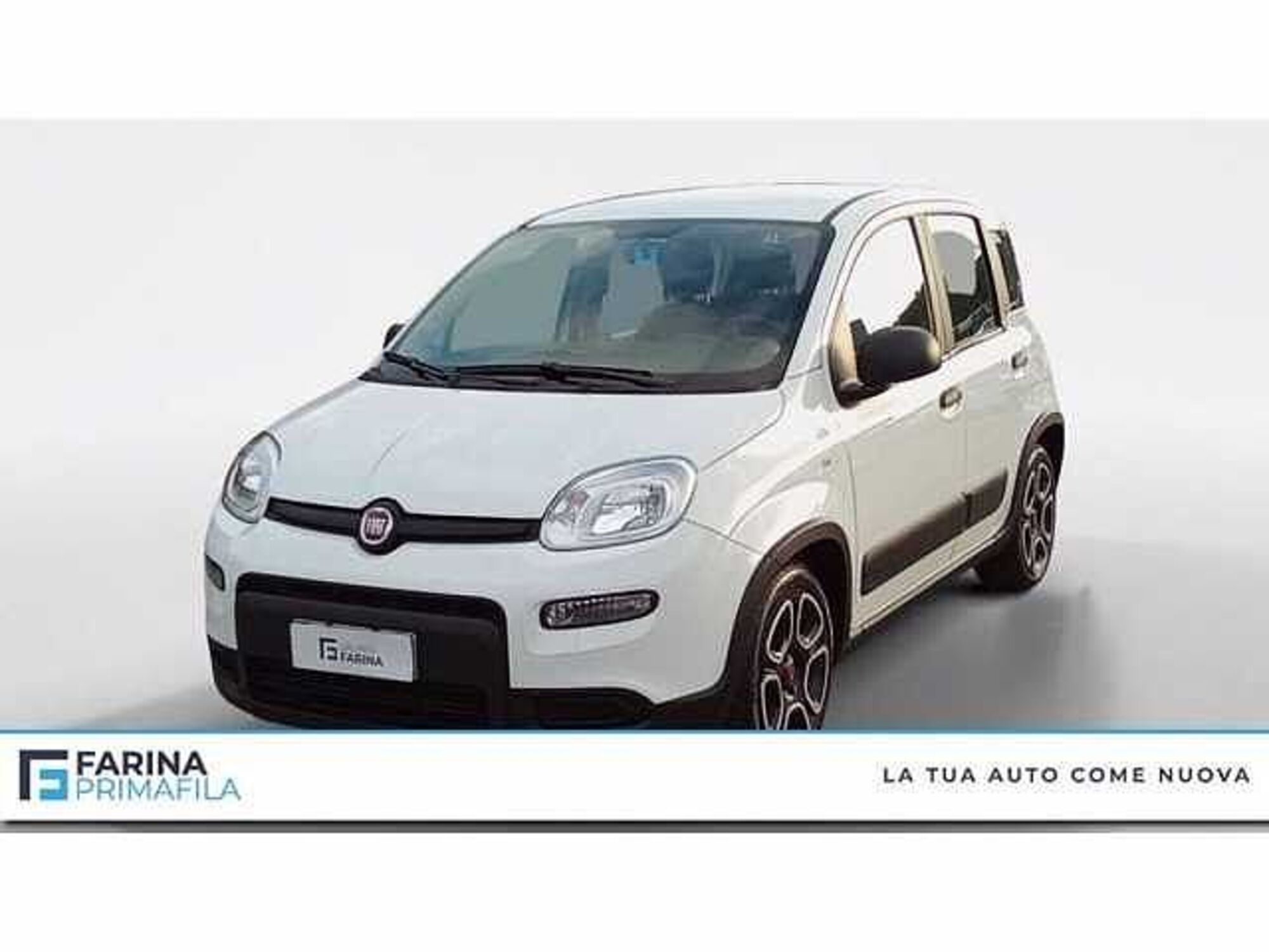 Fiat Panda 1.0 firefly hybrid s&amp;s 70cv 5p.ti del 2022 usata a Pozzuoli