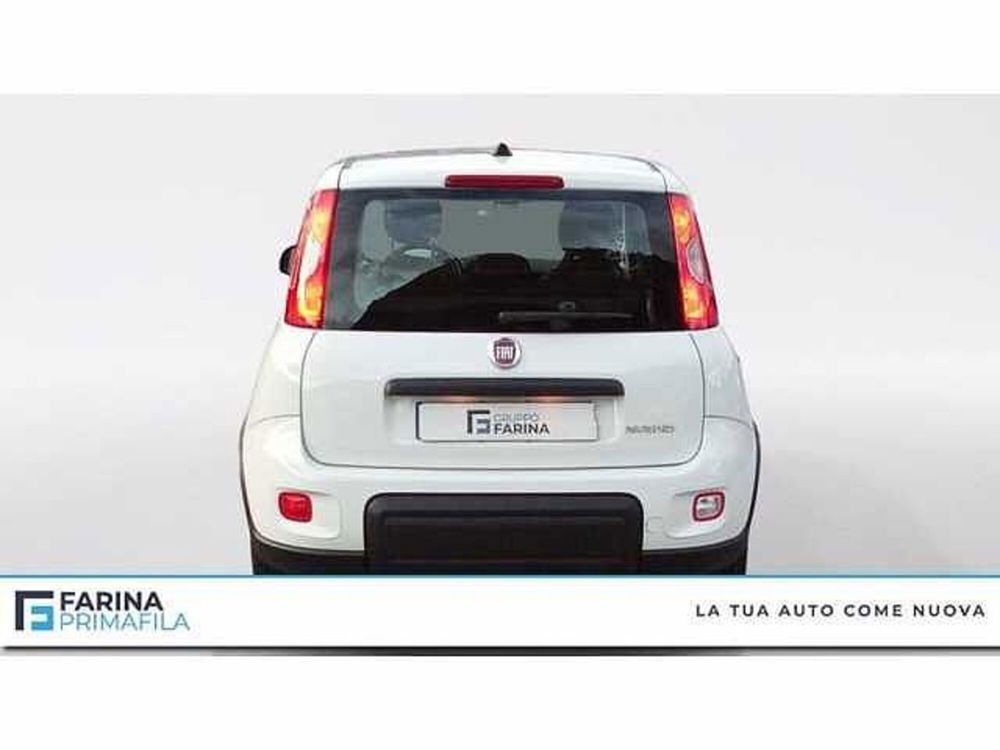 Fiat Panda usata a Napoli (4)