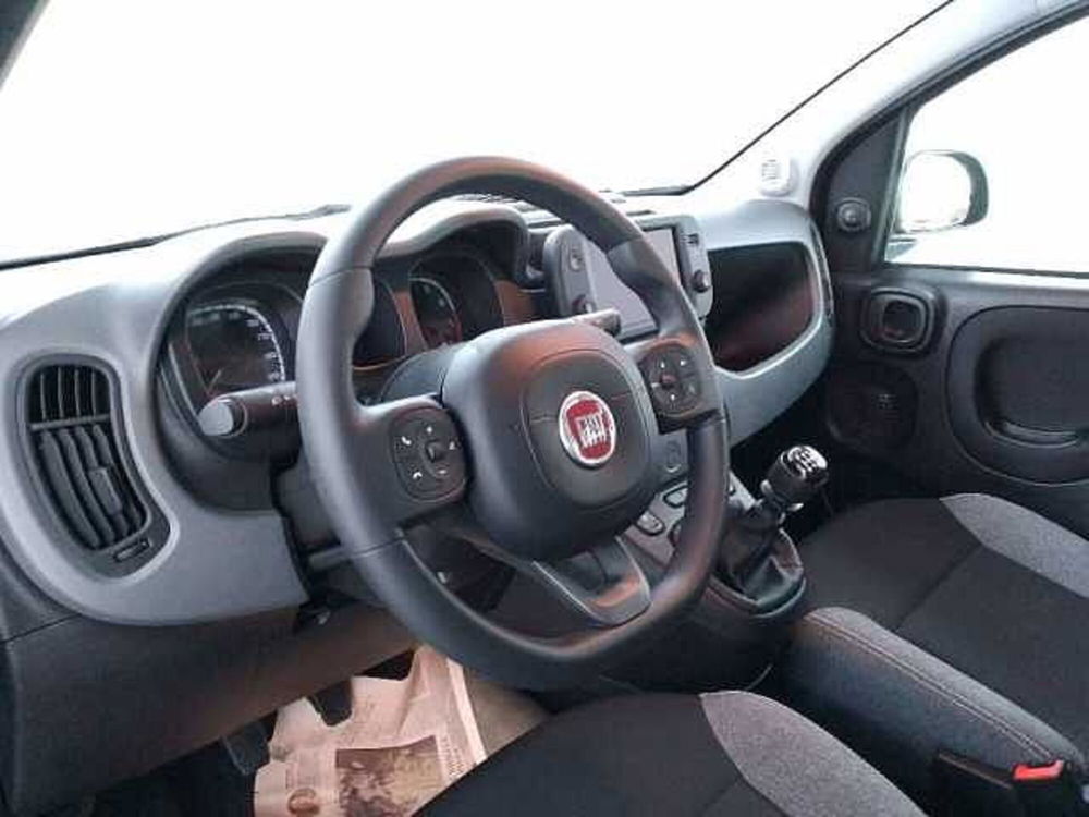 Fiat Panda usata a Cuneo (15)