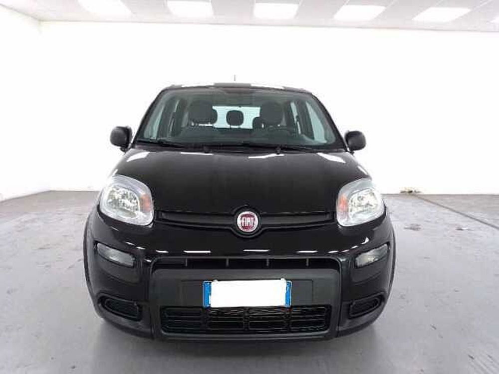 Fiat Panda usata a Cuneo (2)