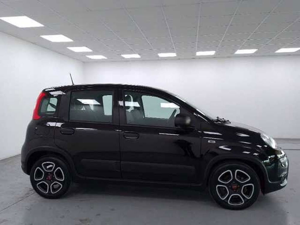 Fiat Panda usata a Cuneo (4)